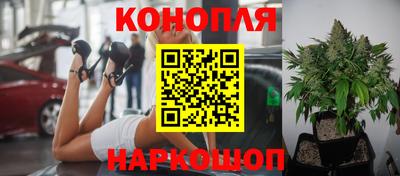 бошки Ирбит