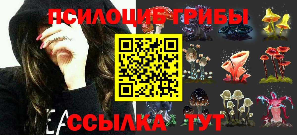 Галлюциногенные грибы прущие грибы Кунгур